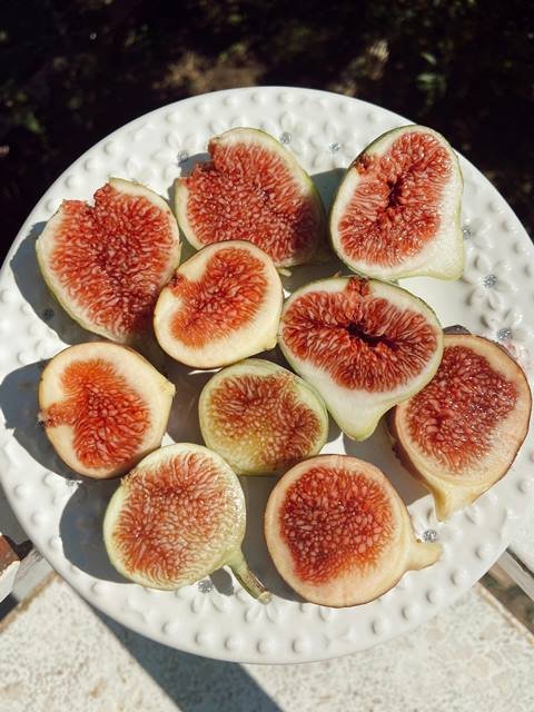 "Fresh figs on a wooden surface, a natural source of calcium and nutrients for bone health"